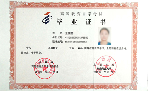 自考本科毕业证书-小学教育专业